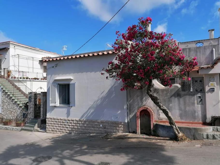 Sweet Home, Anacapri المظهر الخارجي الصورة